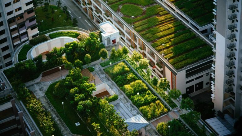 Green Roofs can Cool Cities but Nearly Half may Fail without Long Term Maintenance