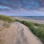Netherlands Transforms 37.2 Million Tonnes of Lakebed Sediment into Wildlife Islands