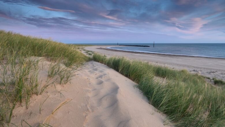 Netherlands Transforms 37.2 Million Tonnes of Lakebed Sediment into Wildlife Islands