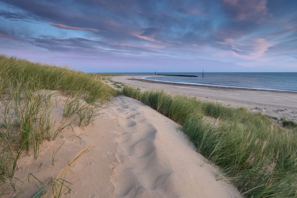 Netherlands Transforms 37.2 Million Tonnes of Lakebed Sediment into Wildlife Islands