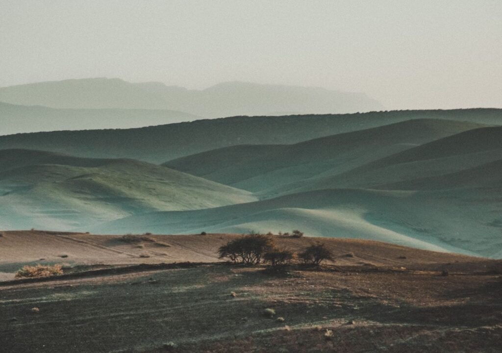 Atacama Desert Survives on Fog Despite Almost No Rain