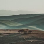 Atacama Desert Survives on Fog Despite Almost No Rain