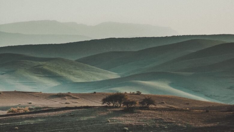Atacama Desert Survives on Fog Despite Almost No Rain