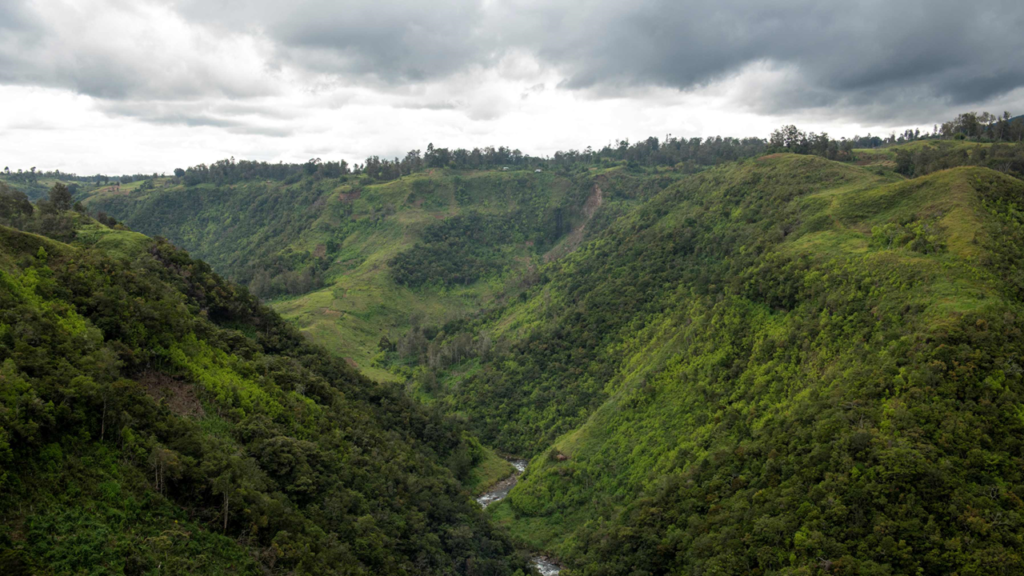 42 Million Hectares of Southeast Asian Forests Offer Major Conservation Opportunity