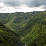 42 Million Hectares of Southeast Asian Forests Offer Major Conservation Opportunity