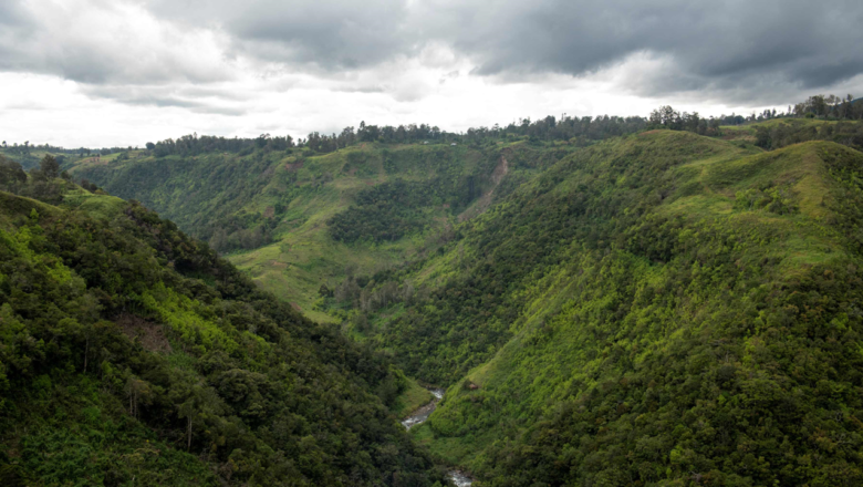 42 Million Hectares of Southeast Asian Forests Offer Major Conservation Opportunity