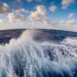 Ocean Produces About Half of Earth Annual Oxygen Scientists Say