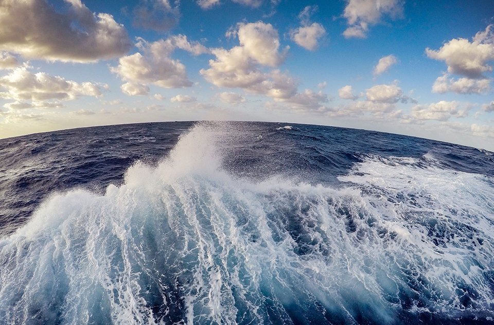 Ocean Produces About Half of Earth Annual Oxygen Scientists Say
