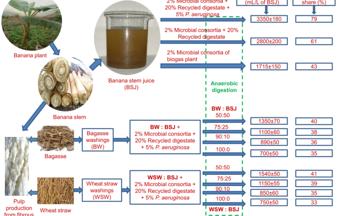 Banana Waste Boosts Biogas Production With Low Caustic Soda Doses