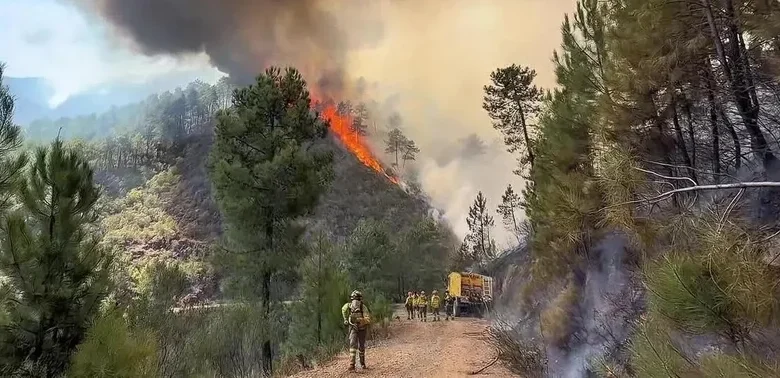 Climate Change Could Nearly Triple Wildfire Affected Area in Europe