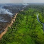 Indonesia Peatland Restoration Reduced Wildfire Risk During El Nino
