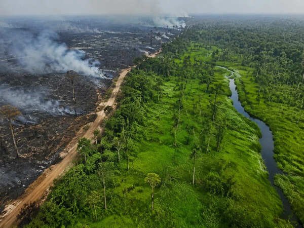 Indonesia Peatland Restoration Reduced Wildfire Risk During El Nino
