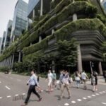Singapore Trees Cool Streets, Cut Air Conditioning Demand