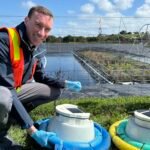 Floating Wetlands Show Promise in Cutting Greenhouse Gas Emissions from Wastewater