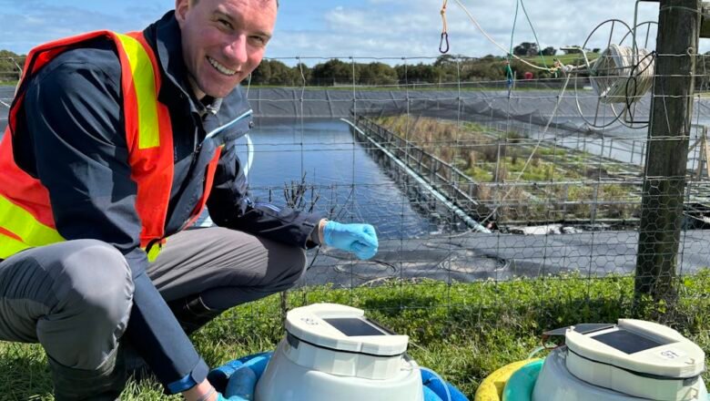Floating Wetlands Show Promise in Cutting Greenhouse Gas Emissions from Wastewater