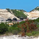 Heavy sand mining linked to major mangrove destruction in Mozambique