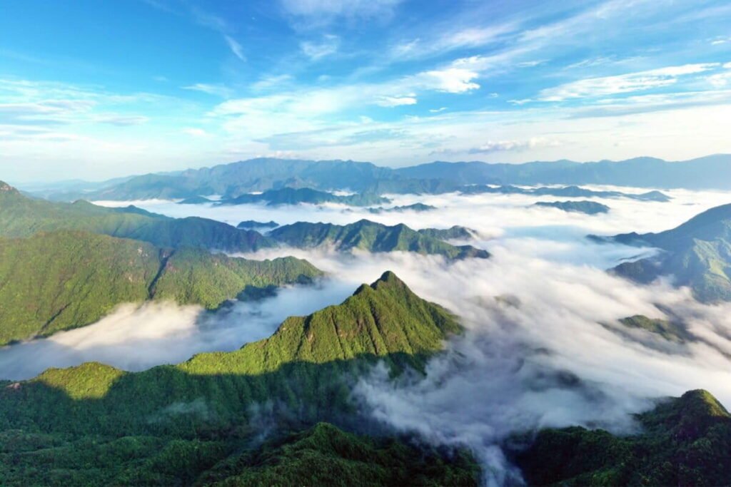 China Tianmu Mountain Blends Ancient Traditions with Modern Conservation