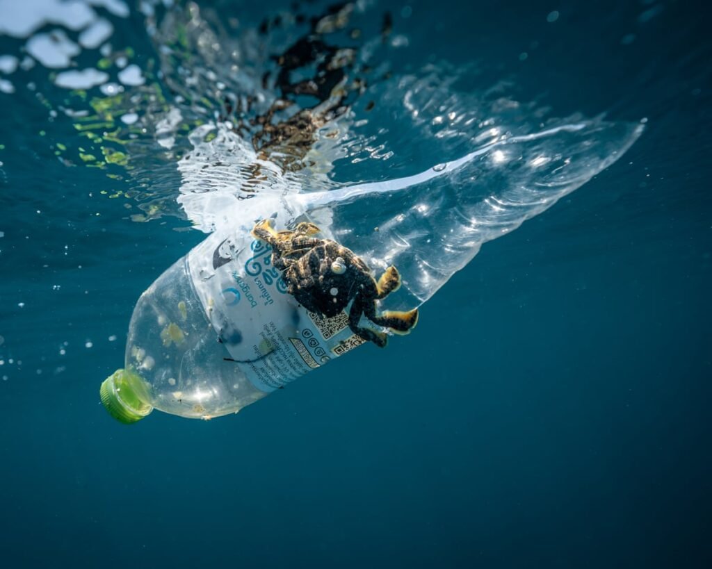 1.3 Million Plastic Bottles Collected in Global Ocean Cleanup
