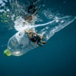 1.3 Million Plastic Bottles Collected in Global Ocean Cleanup