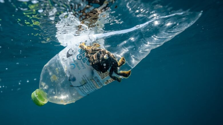 1.3 Million Plastic Bottles Collected in Global Ocean Cleanup