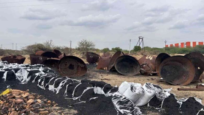 Gujarat Invasive Prosopis Trees Fuel Carbon Credit Projects but Raise Fresh Ecological Concerns