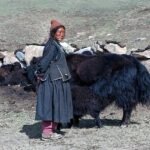 Indigenous Peoples left Waiting as UN Desertification Summit Stalls on Participation and Climate Coordination