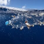 Six Decades of Fault Logs Reveal a Rise in North Atlantic plastic
