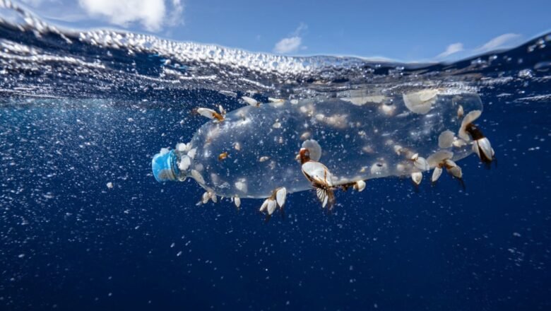 Six Decades of Fault Logs Reveal a Rise in North Atlantic plastic