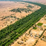 Niger’s Farmers Show the Great Green Wall a New Ways to Fight the Sahara