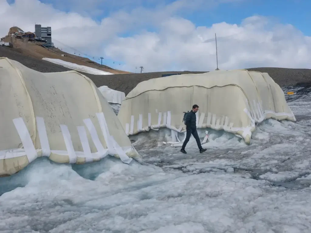 Scientists Test Sheep’s Wool as a Natural Shield for Melting Swiss Glaciers