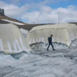 Scientists Test Sheep’s Wool as a Natural Shield for Melting Swiss Glaciers