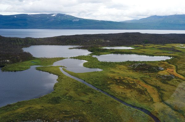 Lakes Alter the Global Carbon Cycle Swedish Study Finds