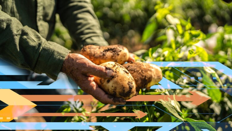 Food, Water and Energy Insecurity Could Widen Sharply by 2050 MIT Study Finds