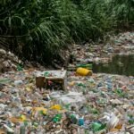 Rivers Flushing Far More Microplastics Into Oceans Than Previously Estimated, Study Finds