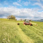 Microplastics in Soil May Act as ‘Trojan horses’ for Toxins and Antibiotic Resistance