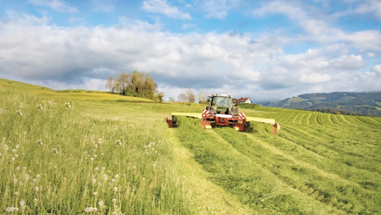 Microplastics in Soil May Act as ‘Trojan horses’ for Toxins and Antibiotic Resistance