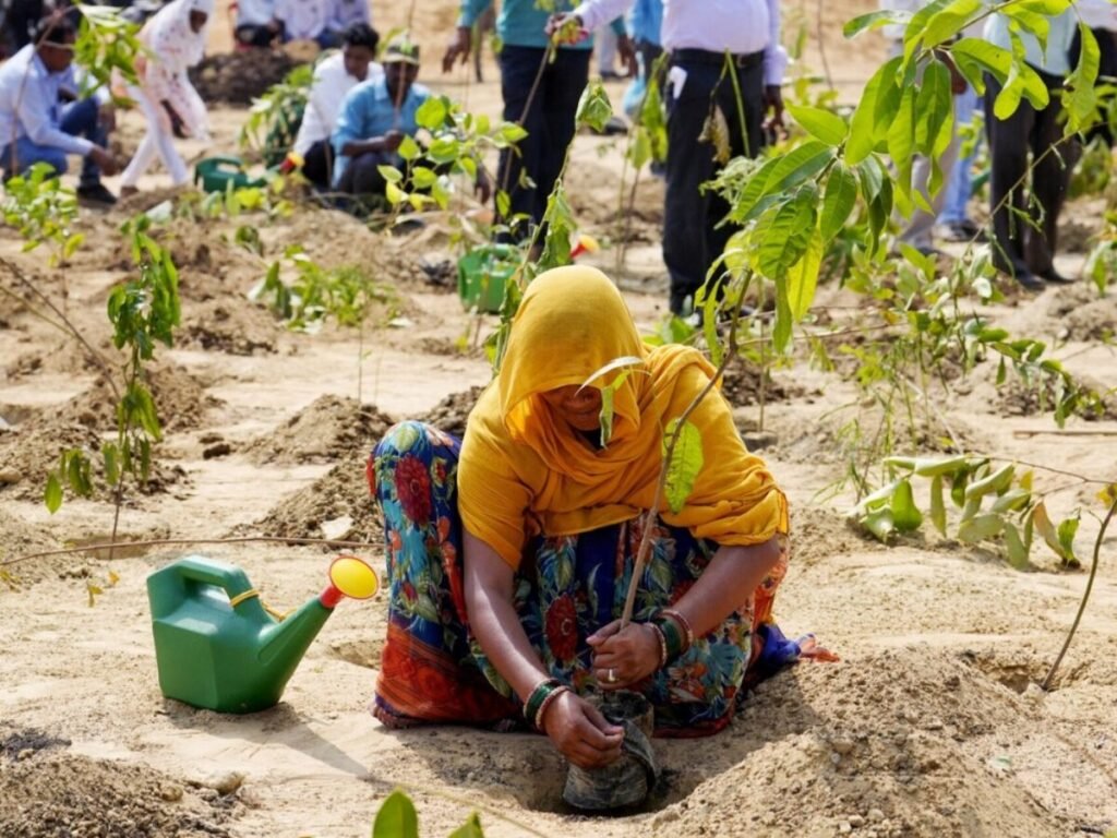Planting Trees in the Wrong Places Can Harm Water Biodiversity and Livelihoods