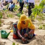Planting Trees in the Wrong Places Can Harm Water Biodiversity and Livelihoods