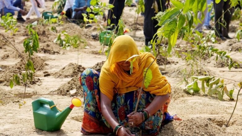 Planting Trees in the Wrong Places Can Harm Water Biodiversity and Livelihoods