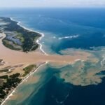 Human Activity Adds More Nitrogen than Natural Sources in One Fourth of Coastal Waterways