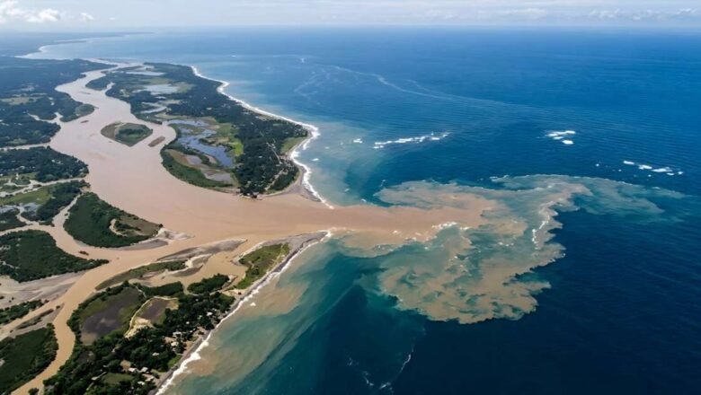 Human Activity Adds More Nitrogen than Natural Sources in One Fourth of Coastal Waterways