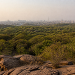 Nearly 1,000 acres of Delhi Southern Ridge to get Reserved Forest status