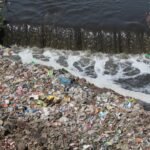 Monsoon Rainfall Drives Surge in Antibiotic Resistance Genes in Dehradun Rivers
