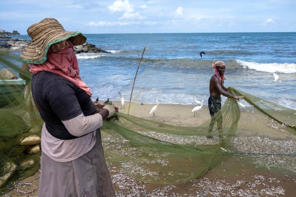 Aquaculture Expansion Could Drive Higher Demand for Wild Caught Fish by 2040 Report Warns