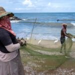 Aquaculture Expansion Could Drive Higher Demand for Wild Caught Fish by 2040 Report Warns
