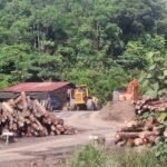 Logging Threatens Indigenous led Conservation Vision in Malaysia’s Upper Baram forest