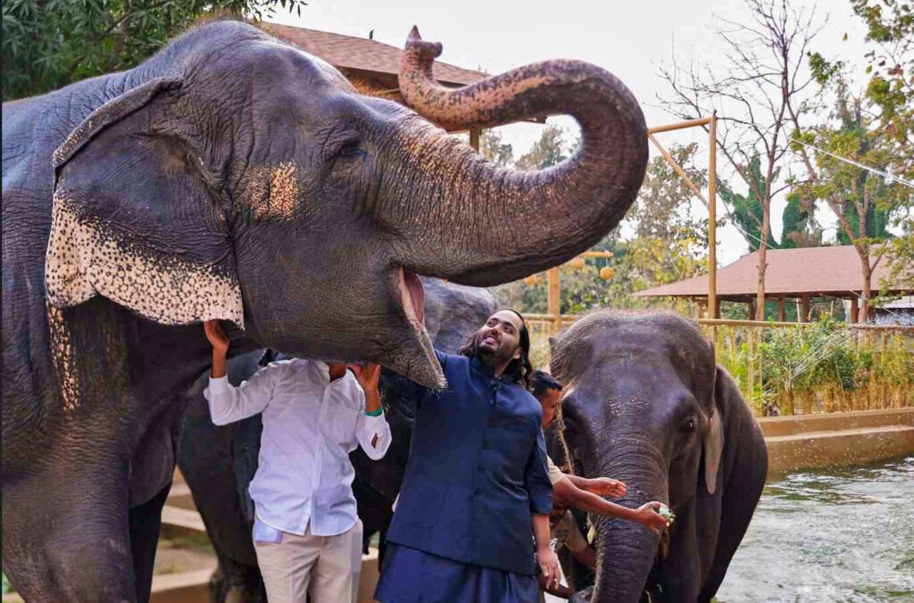 27 Global Wildlife Groups Urge Vantara to Permanently Halt Animal Imports