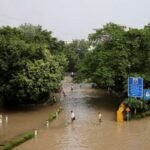 Supreme Court Panel Finds UP Sewage a Major Contributor to Yamuna Pollution