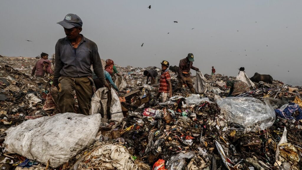 Delhi’s Garbage Mountains Shrink but New Waste Piles Raise Fresh Concerns