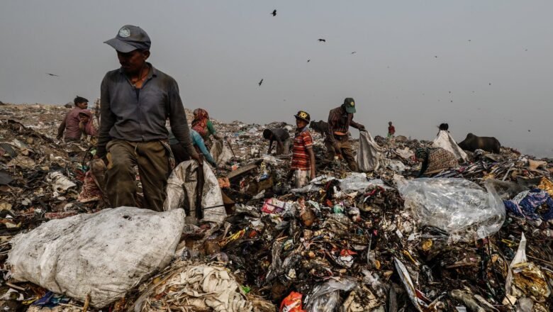 Delhi’s Garbage Mountains Shrink but New Waste Piles Raise Fresh Concerns